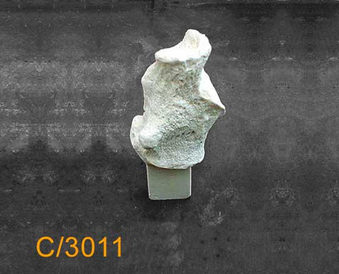 Calcaneus Large Left – With attachment block. C3011