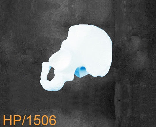 Hemi Pelvis Medium left.HP1506