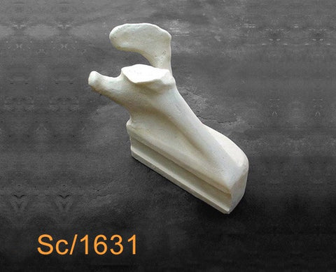 Scapula Large Left with attachment block SC1631