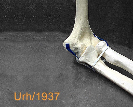 Elbow Large Left. URH1937
