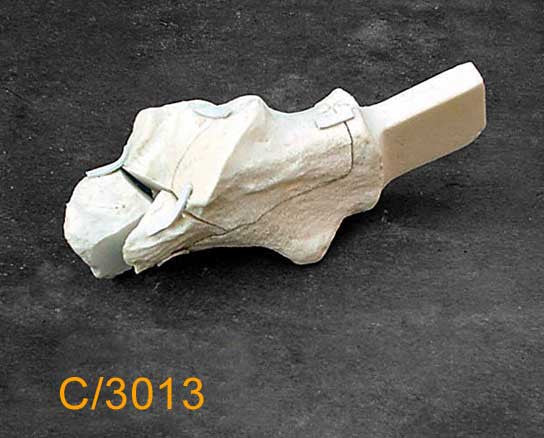 Calcaneus Large Left – With 5-part fracture and attachment block. C3013