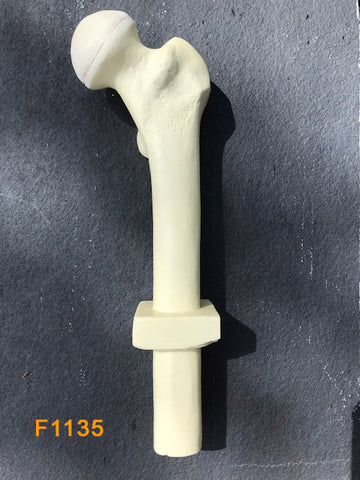 Proximal Femur Left F1135