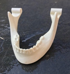 MANDIBLE to fit Maxilla with handle.