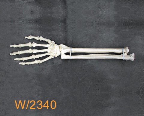 Wrist Large Left. W2340