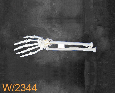 Wrist Large Left. W2344