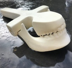 Maxilla with Handle (+Mandible)