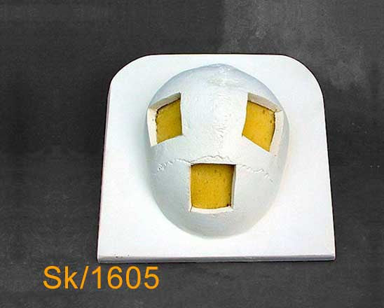 Skull Cap – With three 4cm x 4cm cranial  flaps (soft foam backing) SK1605